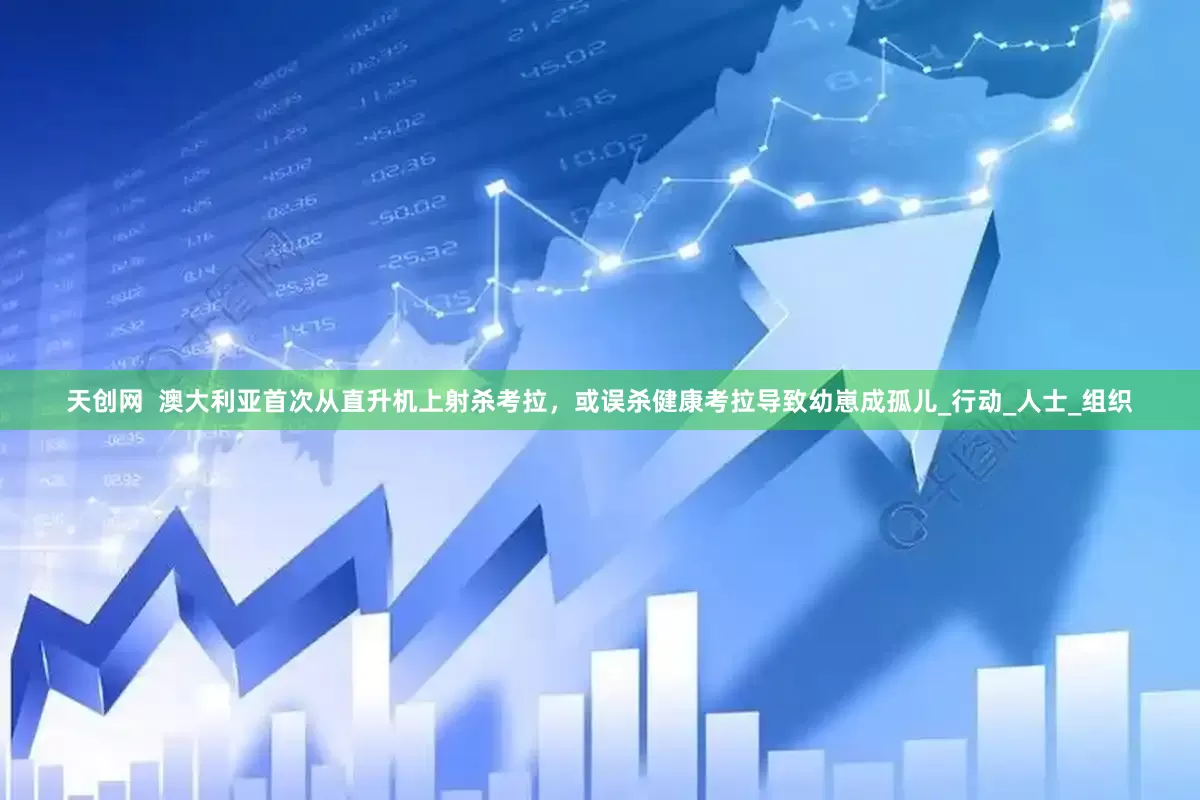 天创网  澳大利亚首次从直升机上射杀考拉，或误杀健康考拉导致幼崽成孤儿_行动_人士_组织